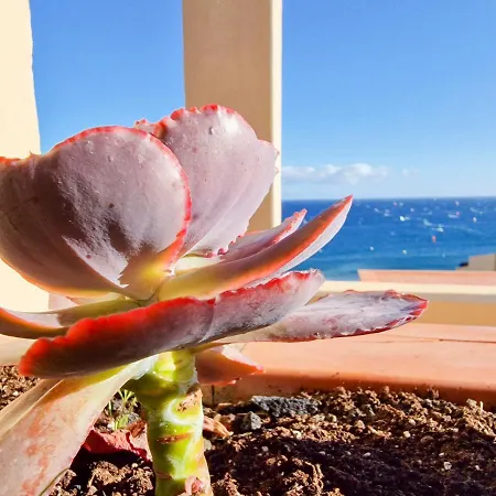 Medano4you The Ocean Terrace Penthouse Apartment *